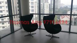 Fifteen Robin (D10), Condominium #88390652